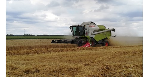 Moissonneuse CLAAS